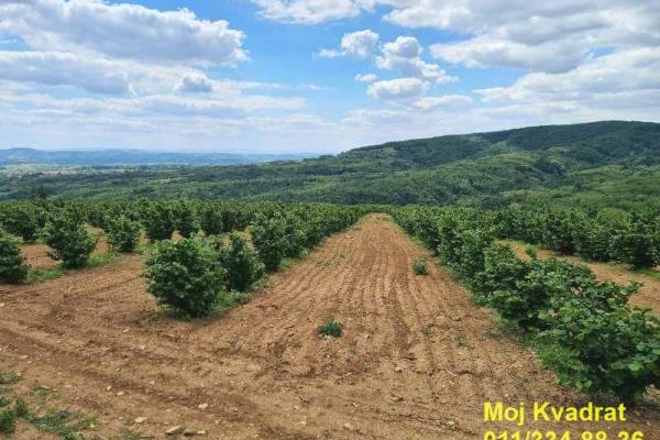 prodaja, plac,
koracica-mladenovac-beograd, 684157, oglavci