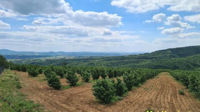 Plac, Prodaja, m2, Koraćica, Mladenovac, Oglavci