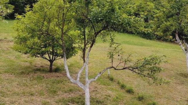 Kuća, Trosoban, Prodaja, 132m2, Perućac, Okolno mesto, Lukica put