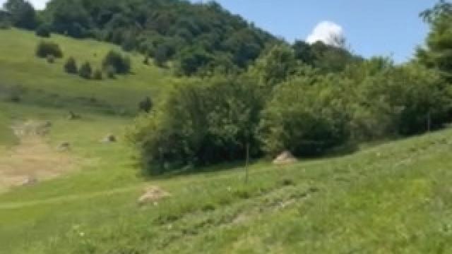 Plac, Prodaja, m2, Čigota, Planina, Cigota