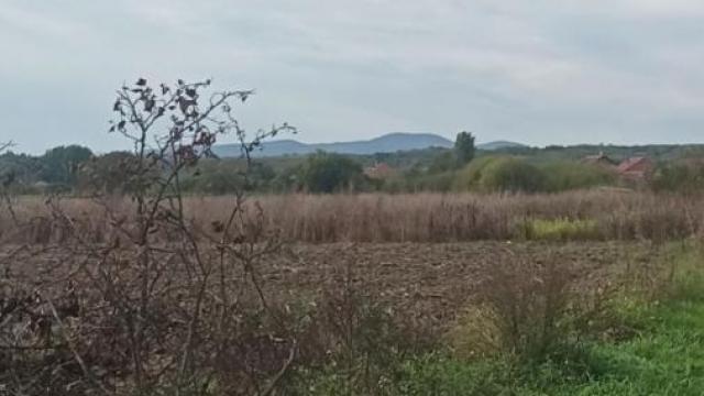 Plac, Prodaja, m2, Jagodina