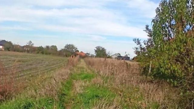 Plac, Prodaja, m2, Jagodina