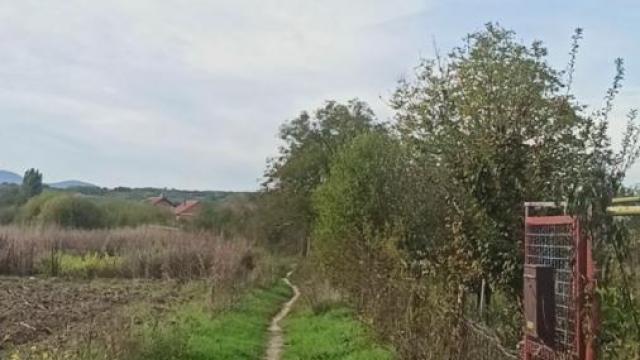 Plac, Prodaja, m2, Jagodina
