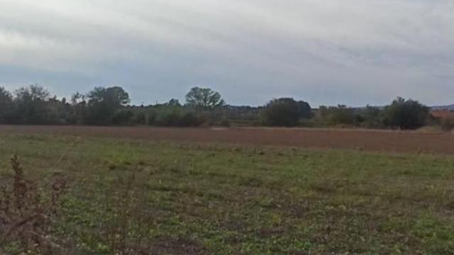 Plac, Prodaja, m2, Jagodina