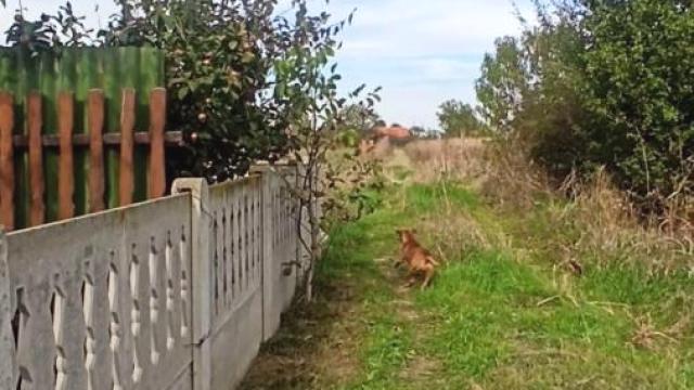 Plac, Prodaja, m2, Jagodina