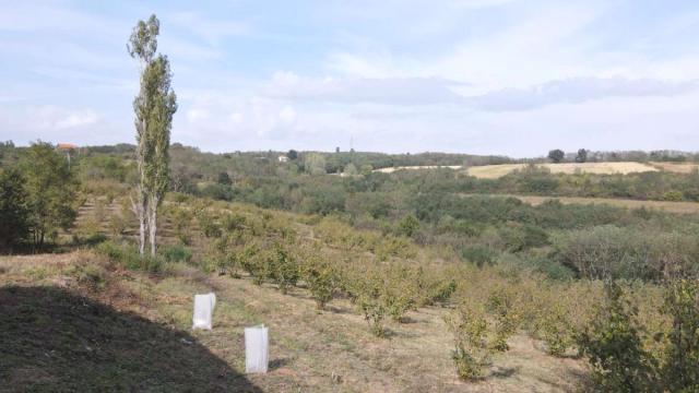 Plac, Prodaja, m2, Donje Štiplje, Okolno mesto, Jagodina