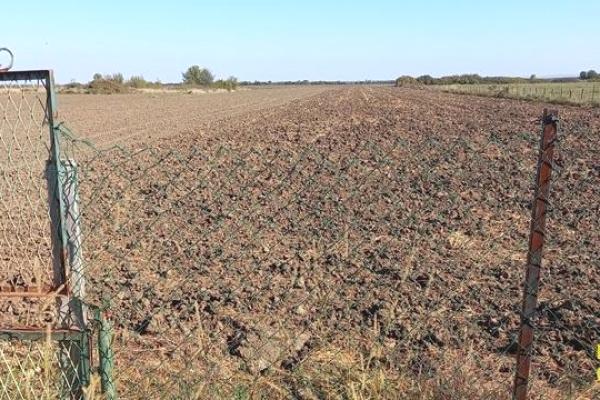 prodaja, plac,
ugrinovci-zemun-beograd, 713484, partizanska