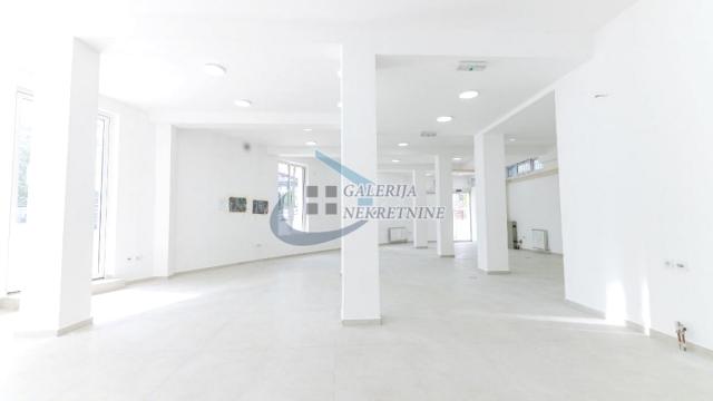 Poslovni prostor, Dvosoban, Prodaja, 150m2, Dedinje, Savski venac, Miloja Đaka