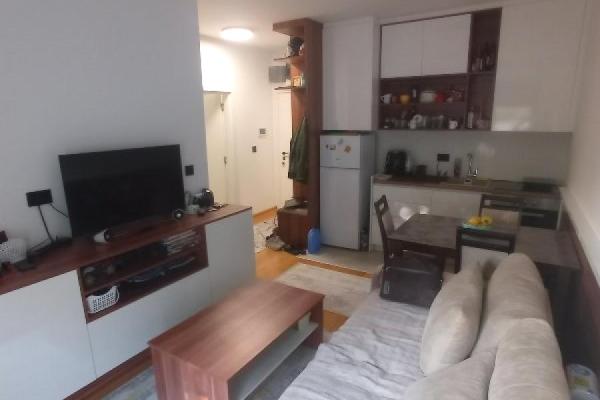 prodaja, stanova,
banjica-vozdovac-beograd, 732127, jednoiposoban-porodice-trajkovic