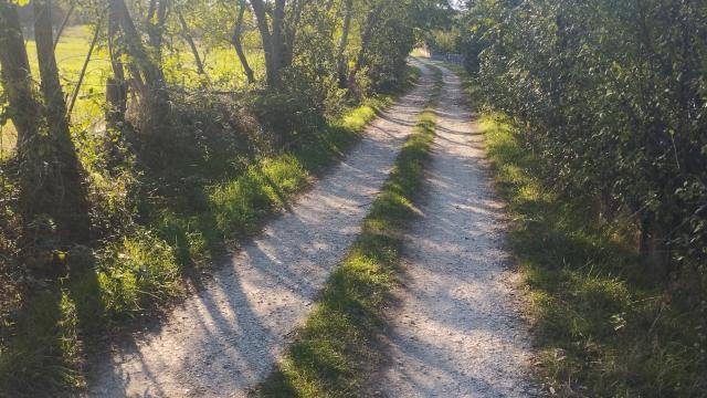 Plac, Prodaja, m2, Kosmaj, Sopot, Kosmaj - Nemenikuće - Bate Živojinovića