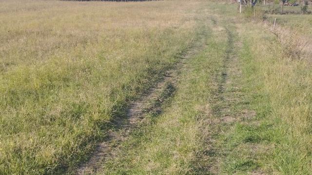 Plac, Prodaja, m2, Kosmaj, Sopot, Kosmaj - Nemenikuće - Bate Živojinovića
