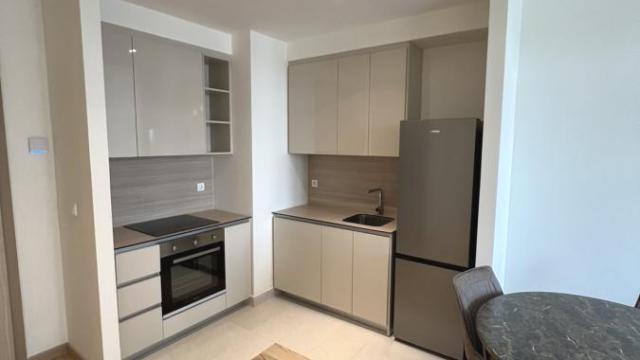 Stan, Dvosoban, Izdavanje, 60m2, Beograd na vodi, Savski venac, Bulevar Vudroa Vilsona