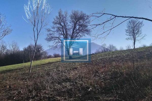 prodaja, plac,
krivi-vir-opstina-boljevac, 745567, plac