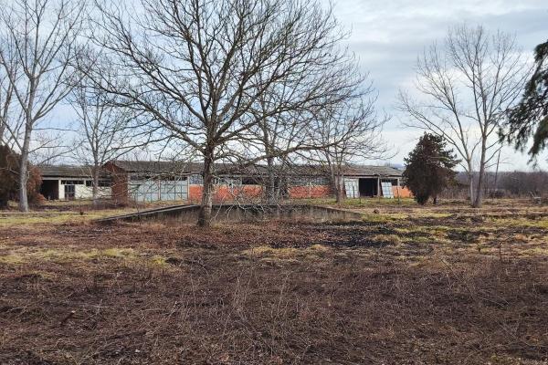 prodaja, poslovni-prostor,
glogovac-opstina-jagodina, 745563, petosoban