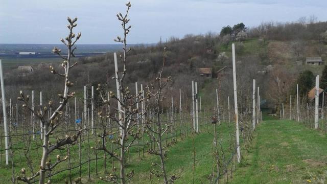 Kuća, Trosoban, Prodaja, 88m2, Krčedin, Okolno mesto, Janda