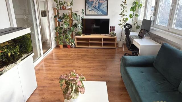 Stan, Dvosoban, Izdavanje, 52m2, Blok 4 (Politehnička akademija), Novi Beograd, Bulevar Zorana Đinđića