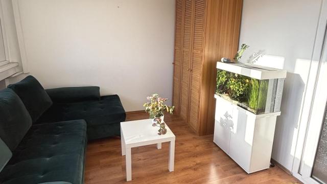 Stan, Dvosoban, Izdavanje, 52m2, Blok 4 (Politehnička akademija), Novi Beograd, Bulevar Zorana Đinđića