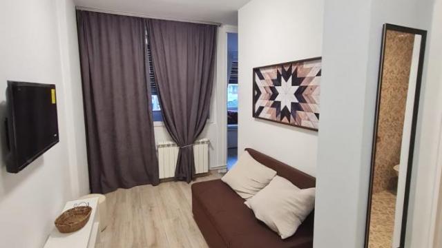 Stan, Dvosoban, Izdavanje, 30m2, Blok 22, Novi Beograd, Bulevar Arsenija Čarnojevića