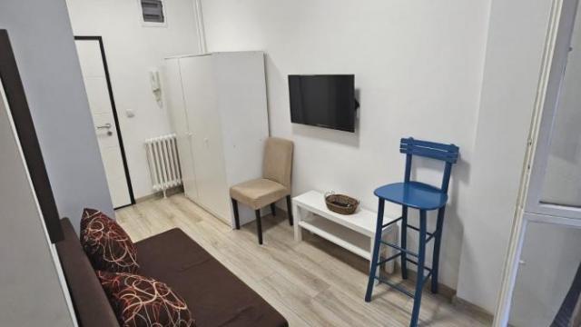 Stan, Dvosoban, Izdavanje, 30m2, Blok 22, Novi Beograd, Bulevar Arsenija Čarnojevića