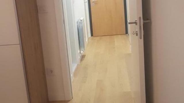 Stan, Dvosoban, Izdavanje, 58m2, Blok 60 (Airport City), Novi Beograd, Tošin bunar