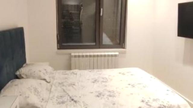 Stan, Dvoiposoban, Izdavanje, 65m2, Dorćol, Stari grad, Mike Alasa