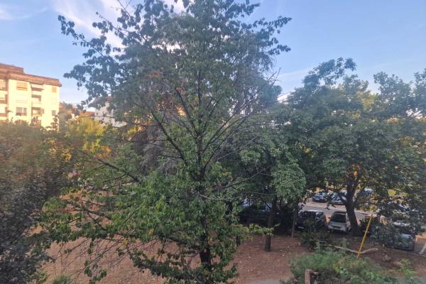 prodaja, stanova,
beograd, 800709, trosoban-tadeusa-koscuska