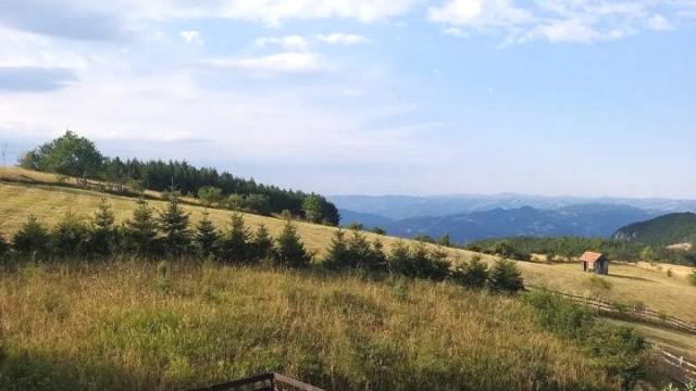 Kuća, Trosoban, Prodaja, 150m2, Kaludjerske bare