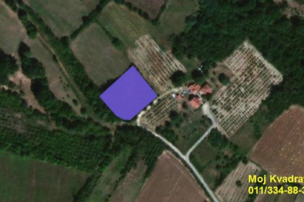 prodaja, plac,
topola, 806099, despotovica