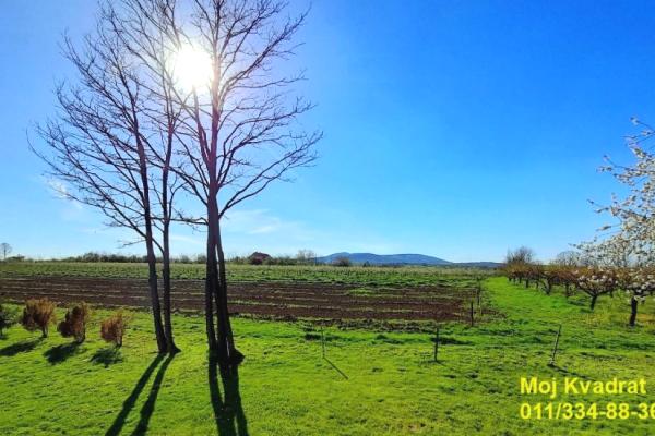 prodaja, plac,
mala-vrbica-mladenovac-beograd, 816879, gajska