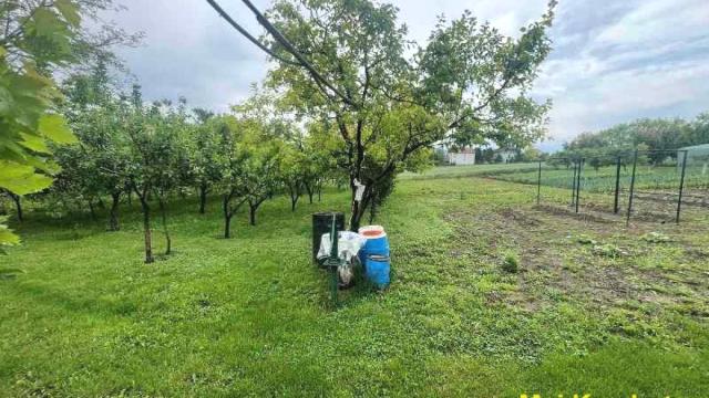 Kuća, Prodaja, 300m2, Starčevo, Okolno mesto, Pančevo