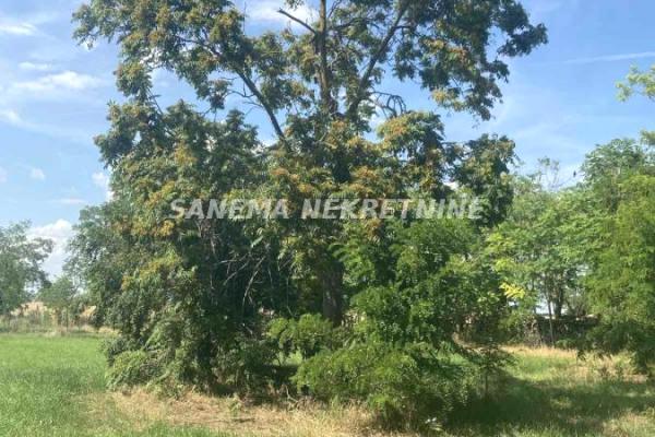 prodaja, plac,
bilic-opstina-sombor, 816969, plac