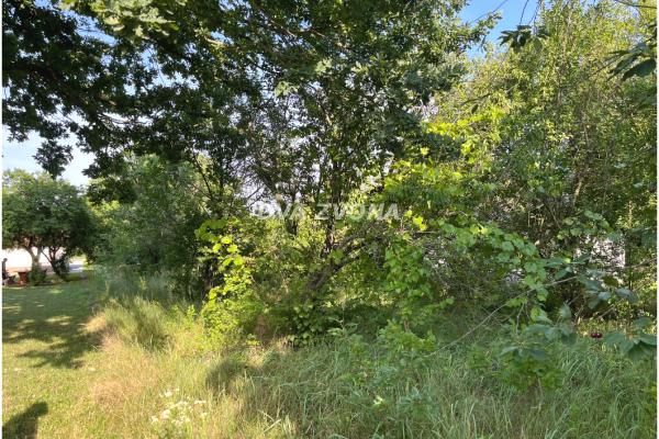 prodaja, plac,
backo-gradiste-opstina-becej, 818761, plac