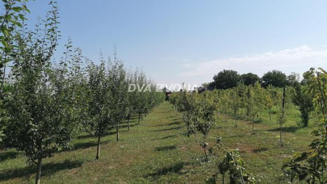 Kuća, Prodaja, 178m2, Beška, Okolno mesto, Indjija