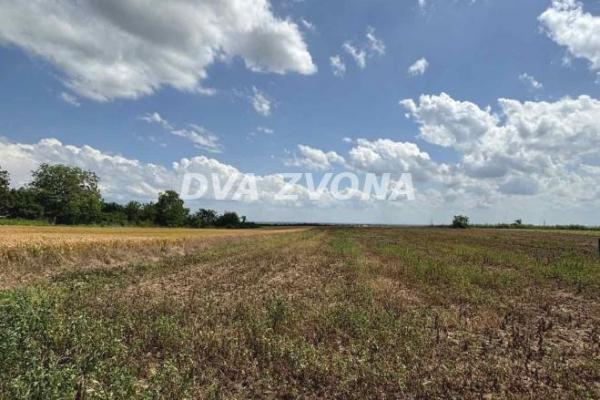 prodaja, plac,
cortanovci-opstina-indjija, 818762, plac