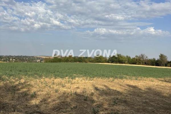 prodaja, plac,
cortanovci-opstina-indjija, 818827, plac