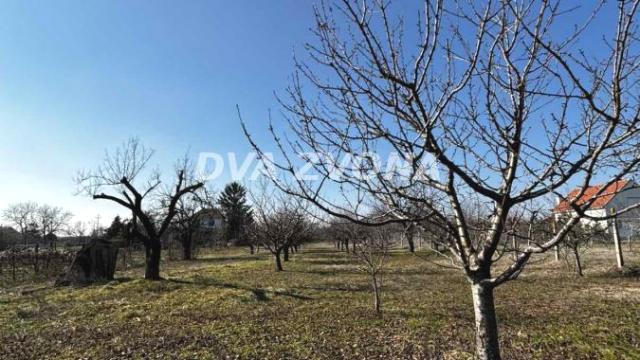 Kuća, Trosoban, Prodaja, 32m2, Čortanovci, Okolno mesto, Indjija