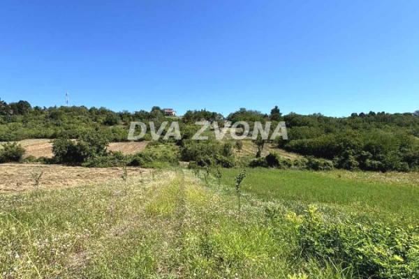 prodaja, plac,
cortanovci-opstina-indjija, 818882, plac