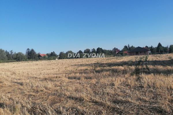 prodaja, plac,
cortanovci-opstina-indjija, 818887, plac