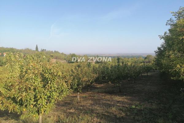 prodaja, plac,
krcedin-opstina-indjija, 818754, plac