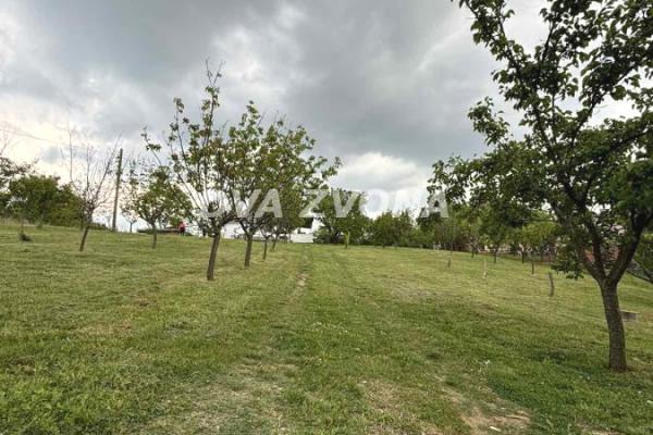 prodaja, kuca,
krusedol-opstina-irig, 818869, dvosoban