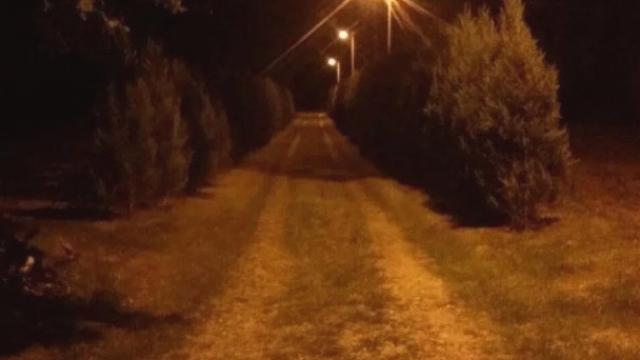 Kuća, Petosoban i veći, Prodaja, 300m2, Svileuva, Okolno mesto, Svileuva