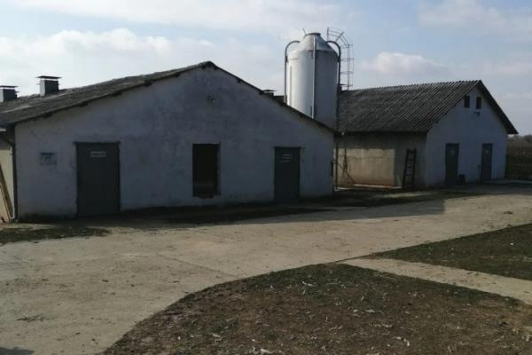 prodaja, kuca,
banatski-brestovac-opstina-pancevo, 834145, petosoban-i-veci-banatski-brestovac