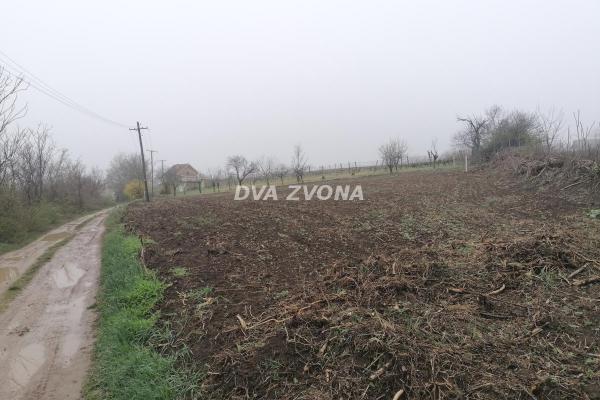 prodaja, plac,
novi-slankamen-opstina-indjija, 834366, plac