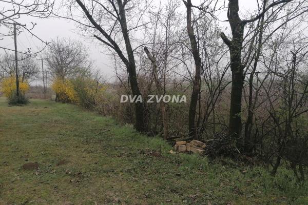 prodaja, plac,
novi-slankamen-opstina-indjija, 834367, plac