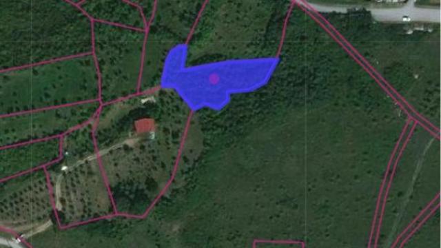 Plac, Prodaja, m2, Banja Vrdnik, Okolno mesto, Irig