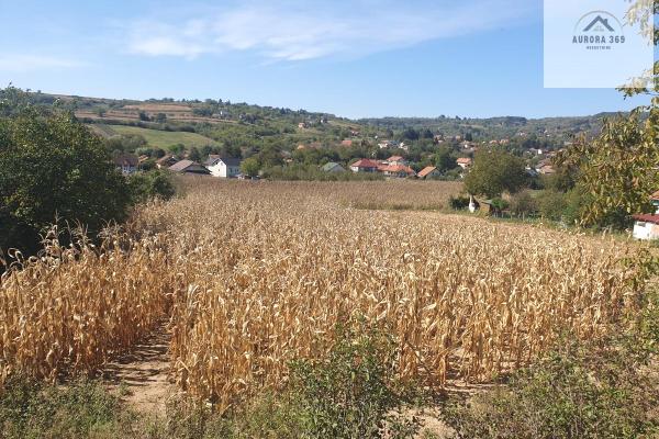 prodaja, plac,
banja-vrdnik-opstina-irig, 837330, plac