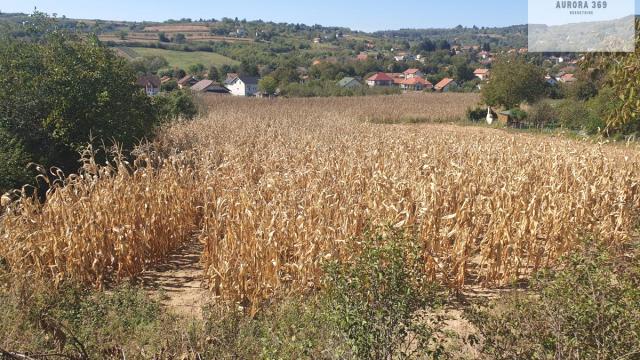 Plac, Prodaja, m2, Banja Vrdnik, Okolno mesto, Irig