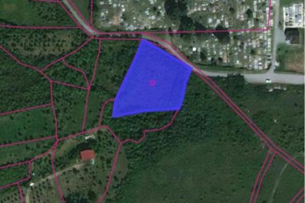 prodaja, plac,
vrdnik-opstina-irig, 837329, plac