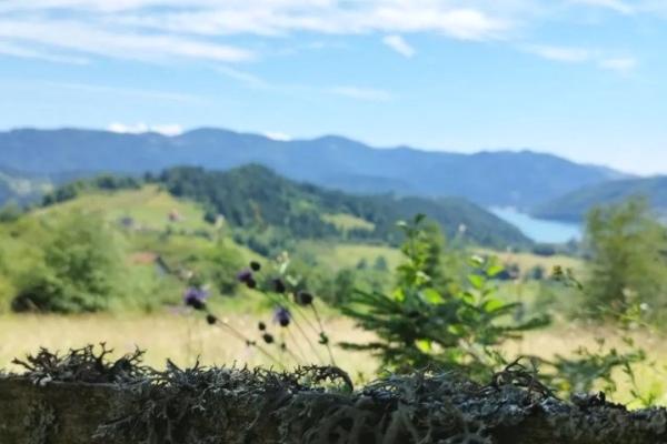 prodaja, plac,
tara, 839449, zaovine