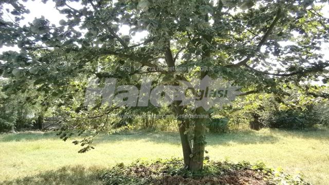 Kuća, Dvoiposoban, Prodaja, 60m2, Crvene Armije 138